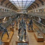 planification gestion guides mnhn