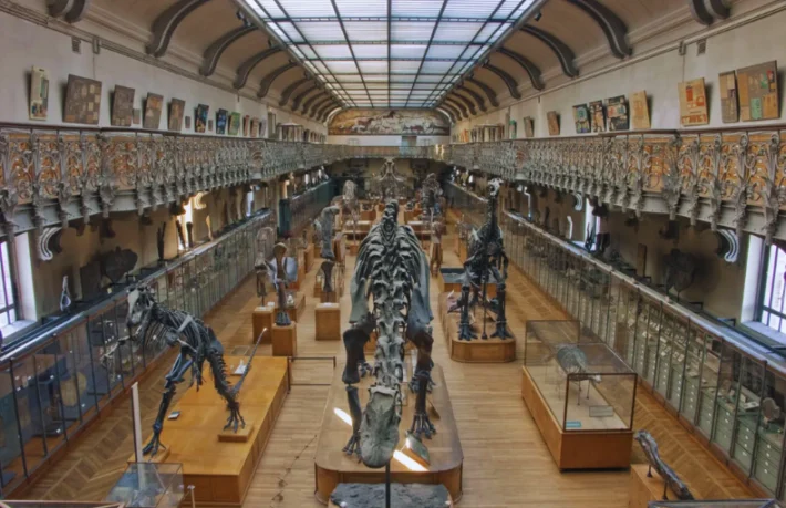 Guide Management and Planning at Museum National d’Histoire Naturelle